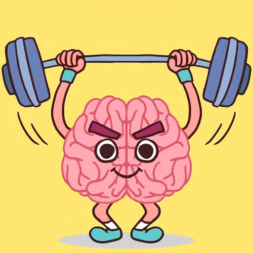 Perfect Brain 3D Puzzle