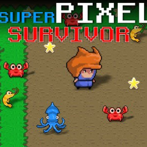 SuperPixelSurvivor